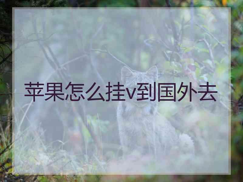 苹果怎么挂v到国外去