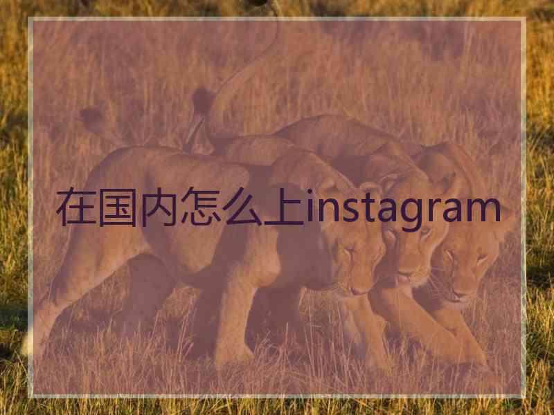 在国内怎么上instagram