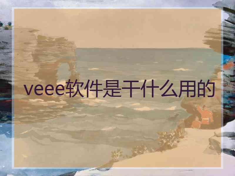 veee软件是干什么用的