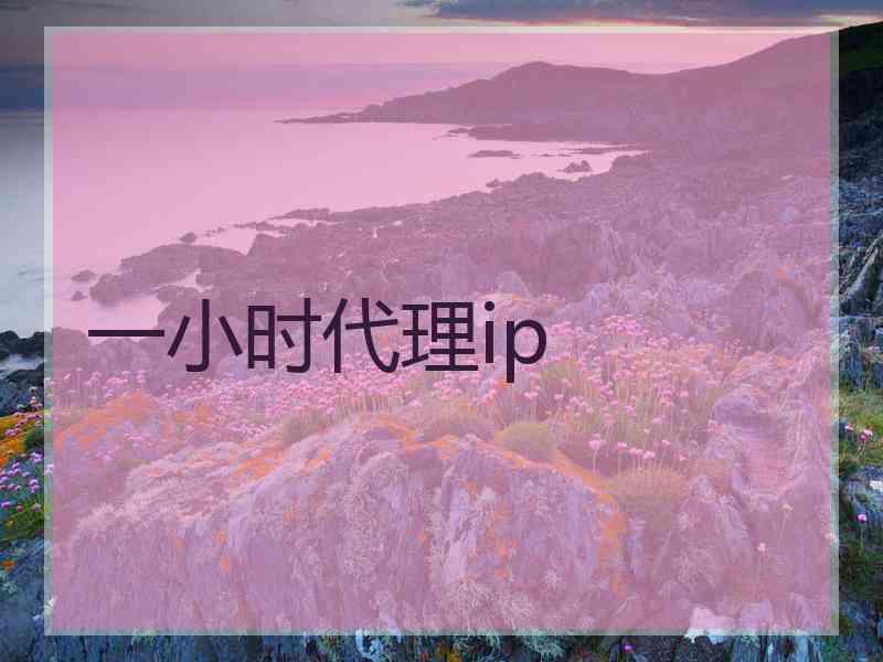 一小时代理ip