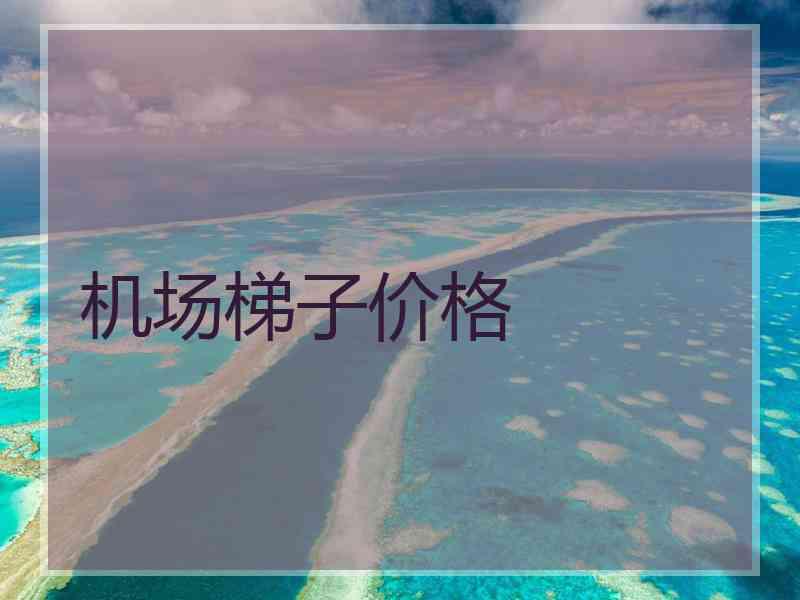 机场梯子价格