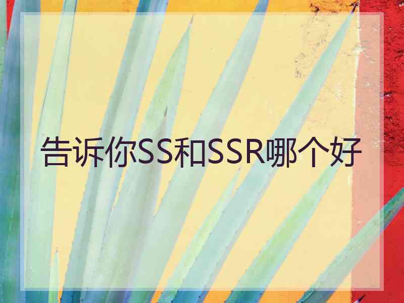 告诉你SS和SSR哪个好