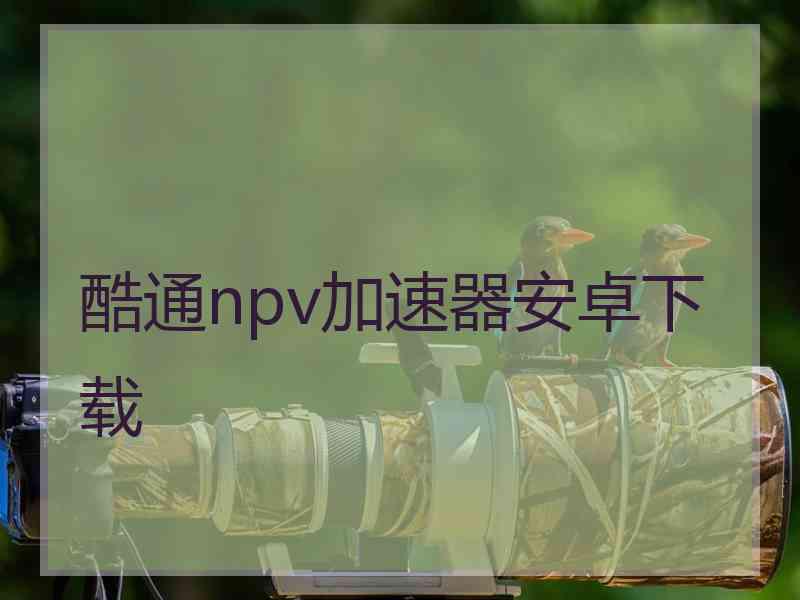 酷通npv加速器安卓下载