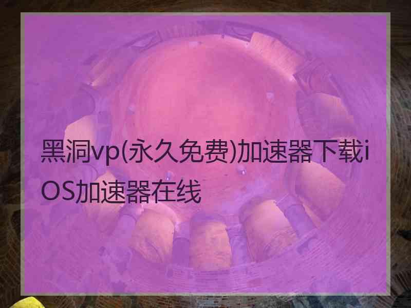 黑洞vp(永久免费)加速器下载iOS加速器在线