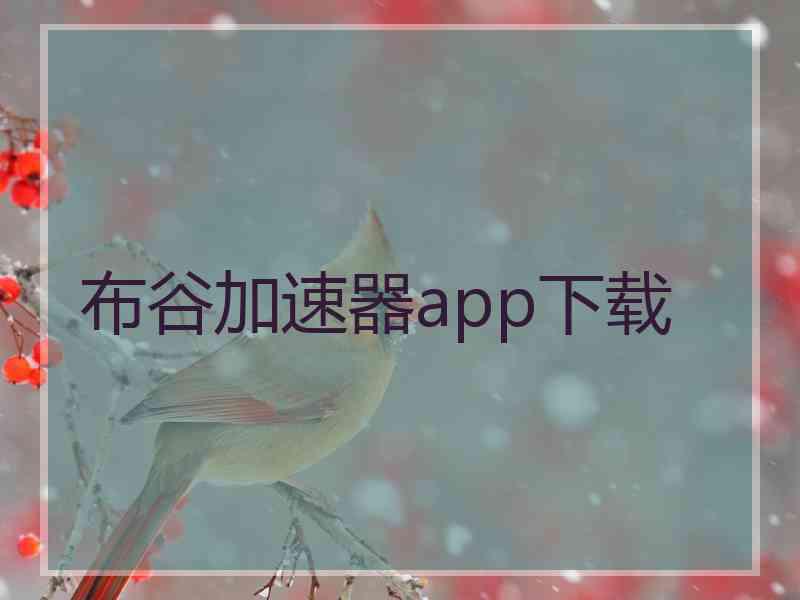 布谷加速器app下载