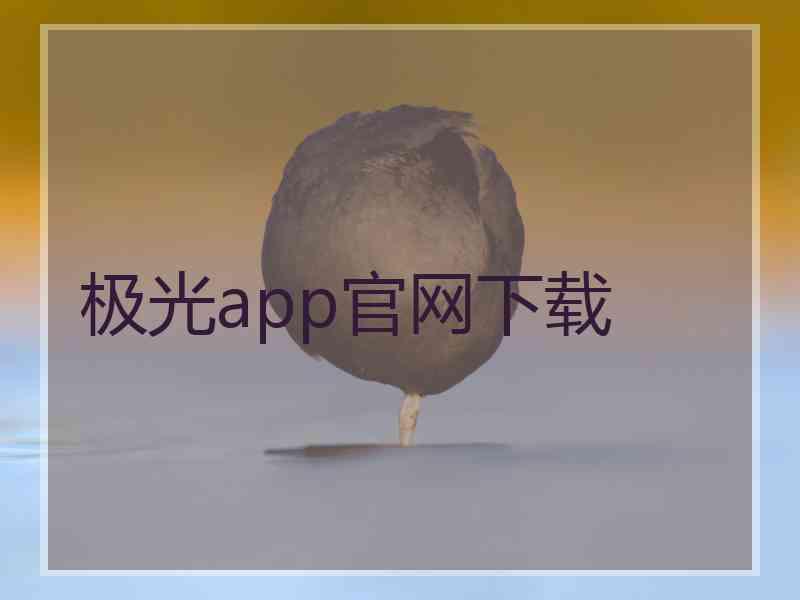 极光app官网下载