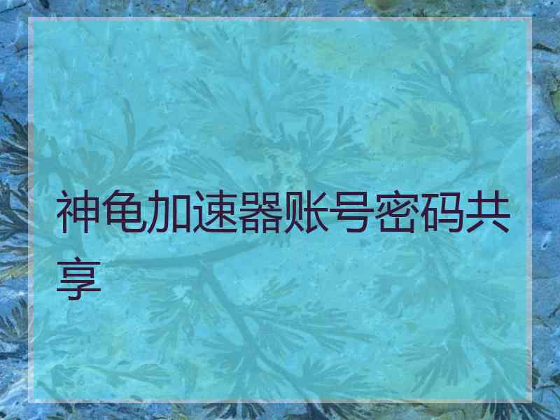 神龟加速器账号密码共享