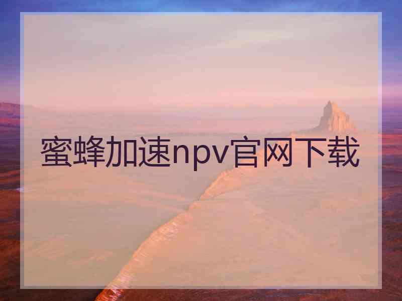 蜜蜂加速npv官网下载