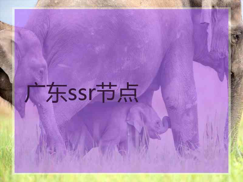 广东ssr节点