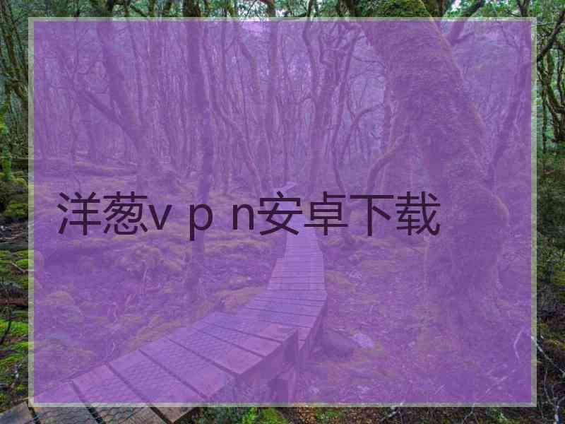 洋葱v p n安卓下载