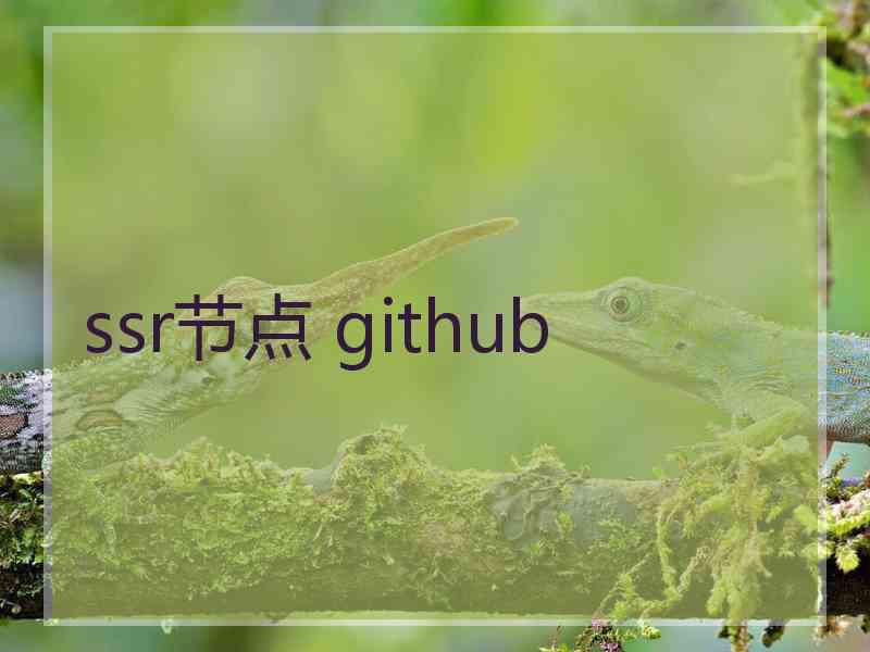 ssr节点 github