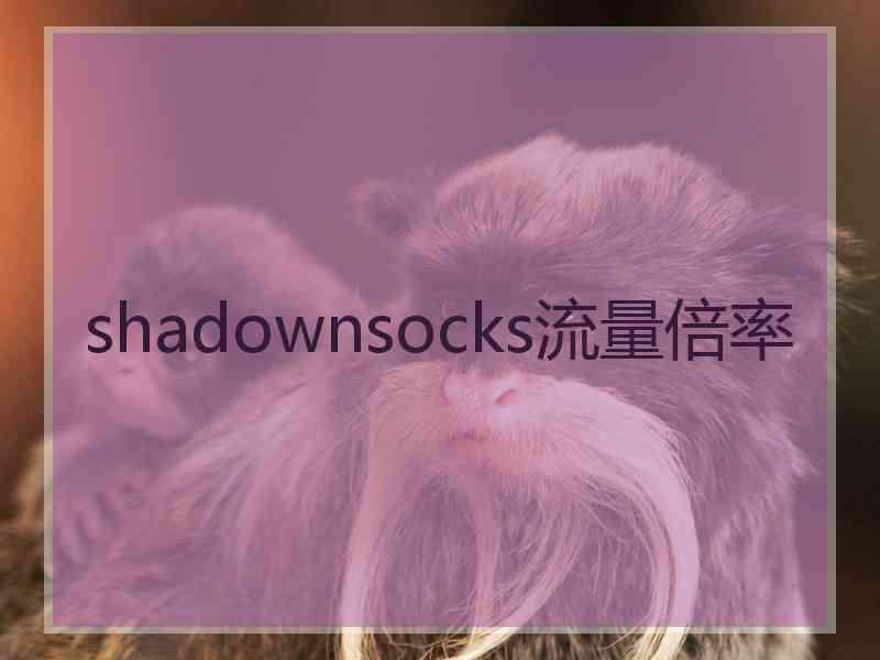 shadownsocks流量倍率