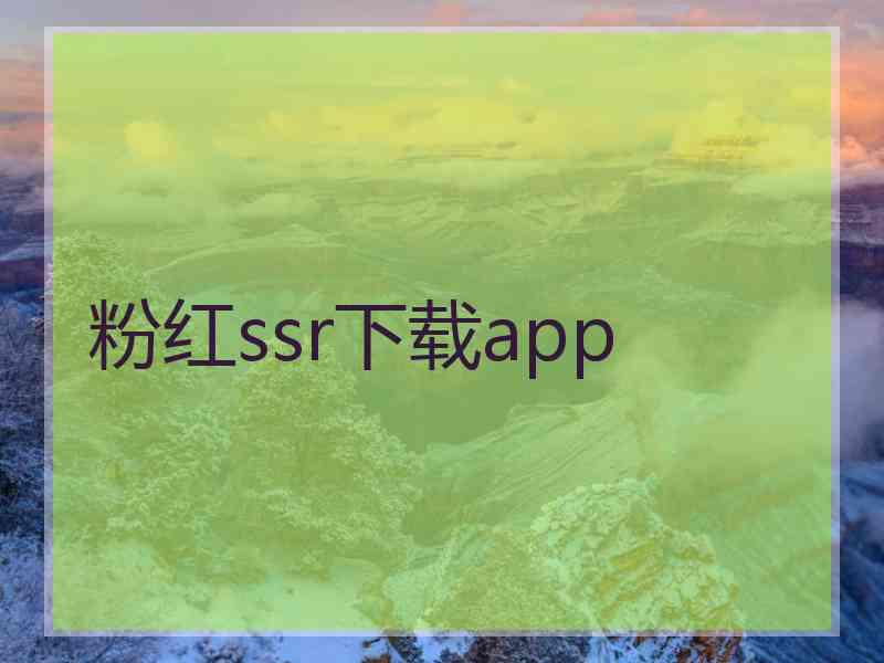 粉红ssr下载app