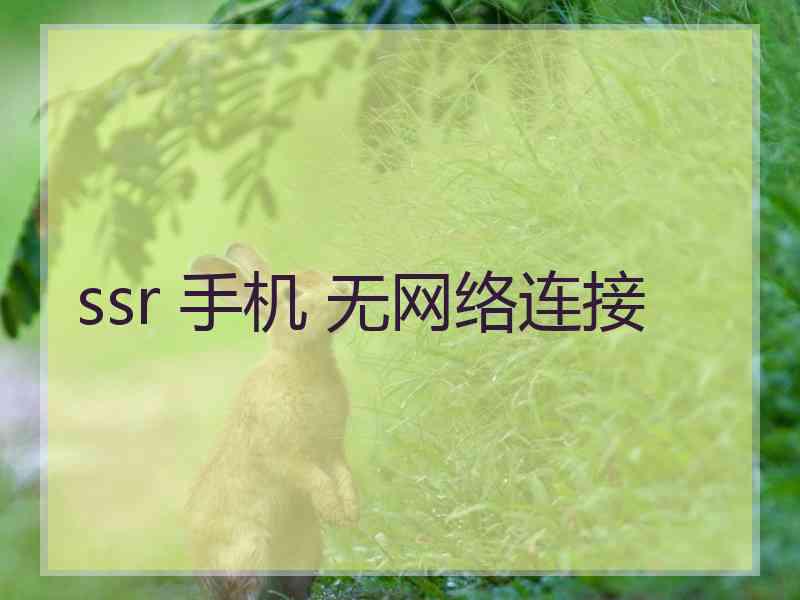 ssr 手机 无网络连接