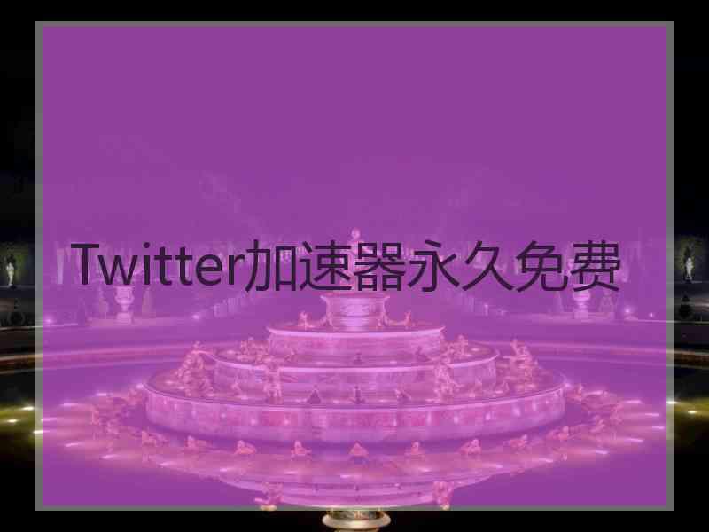 Twitter加速器永久免费