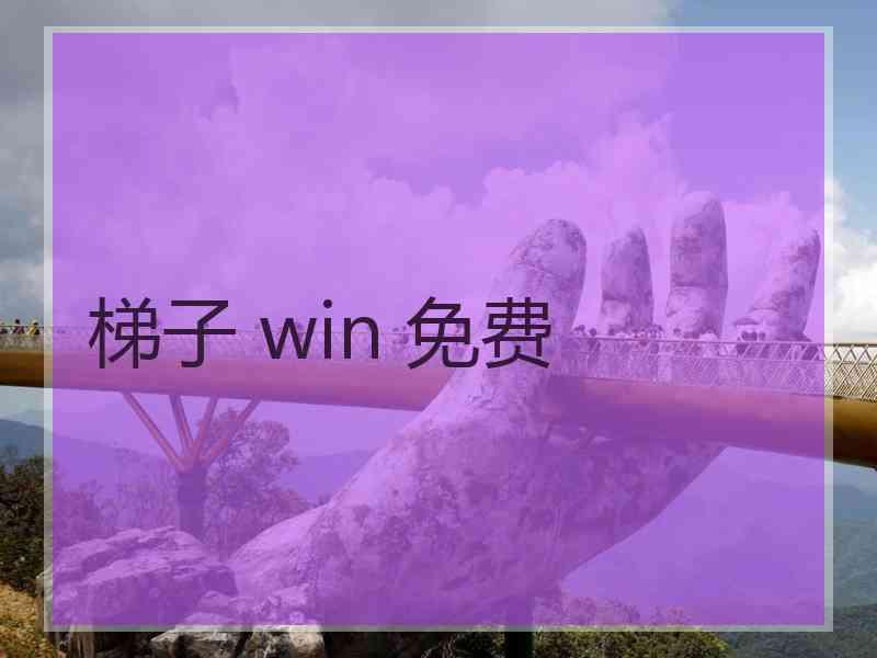 梯子 win 免费