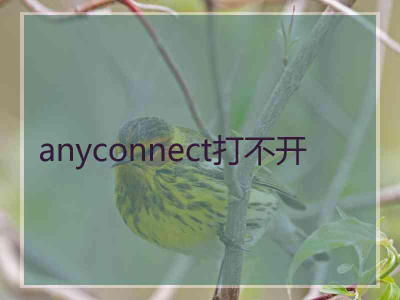 anyconnect打不开