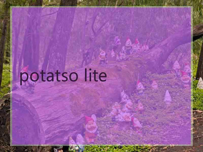 potatso lite