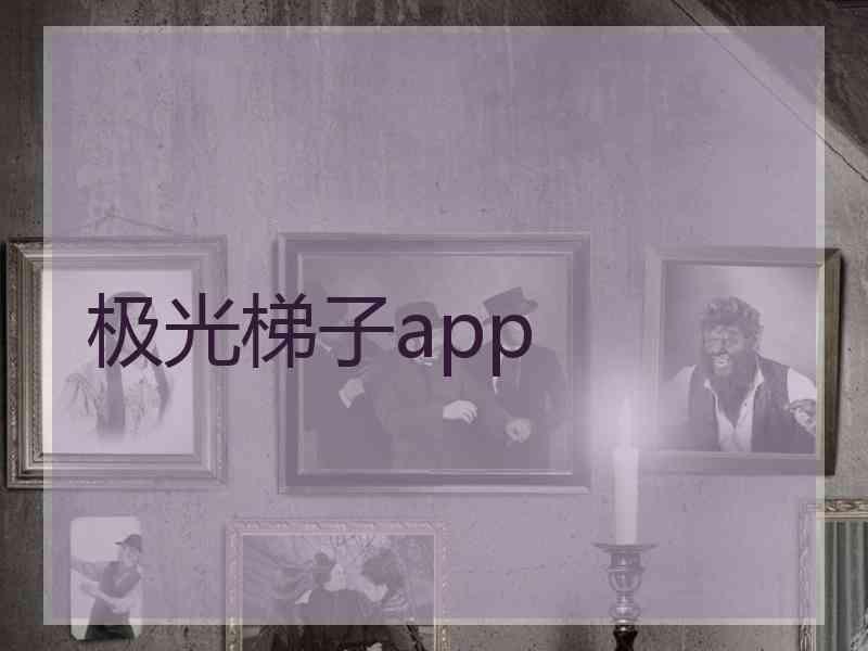 极光梯子app