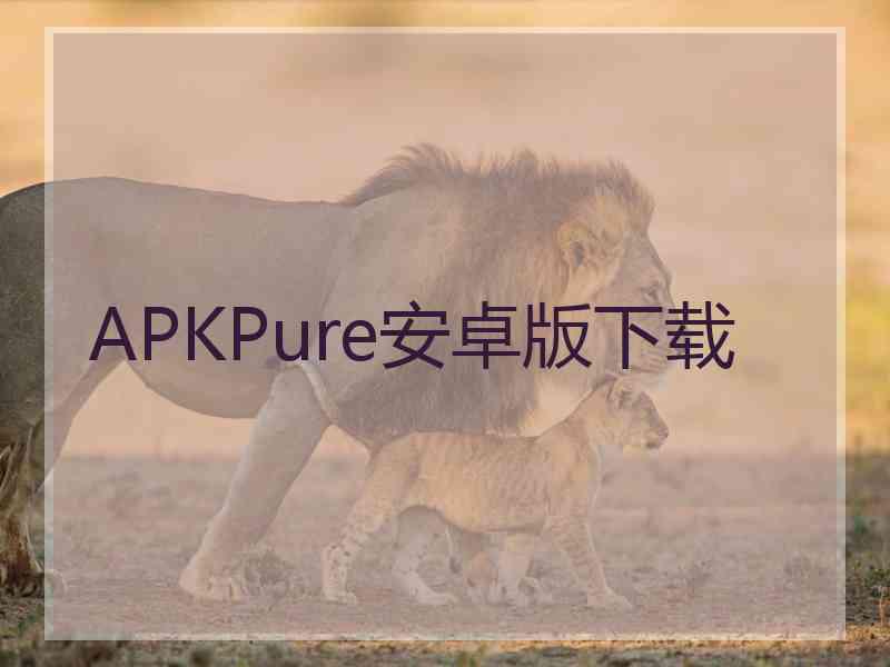 APKPure安卓版下载