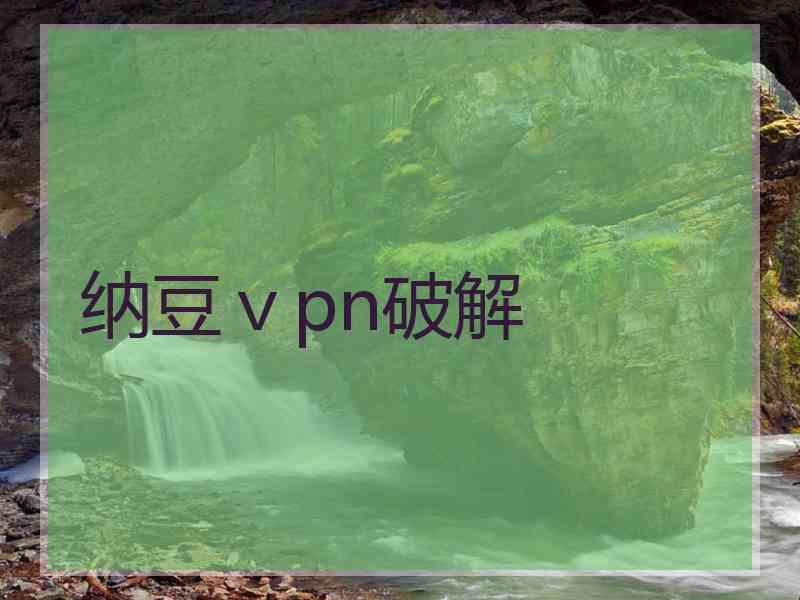 纳豆ⅴpn破解