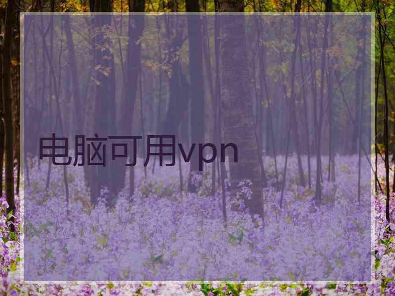 电脑可用vpn