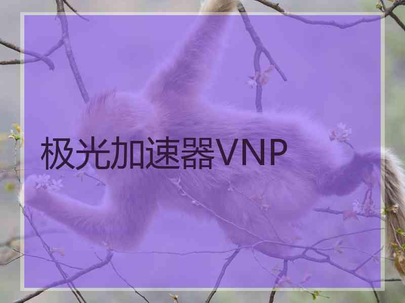 极光加速器VNP