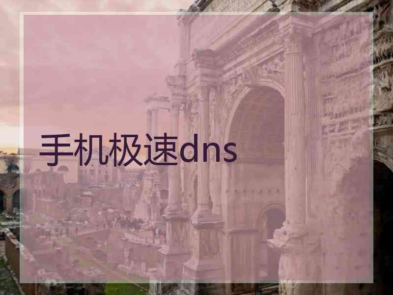 手机极速dns