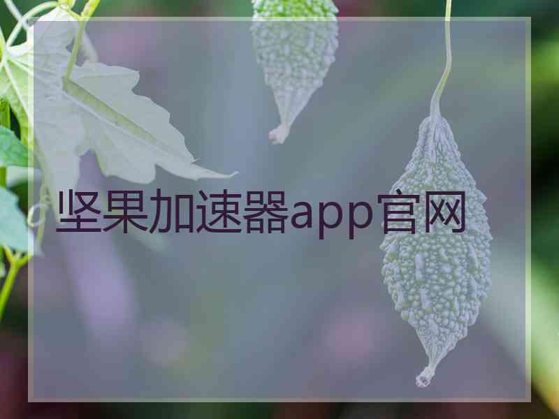 坚果加速器app官网