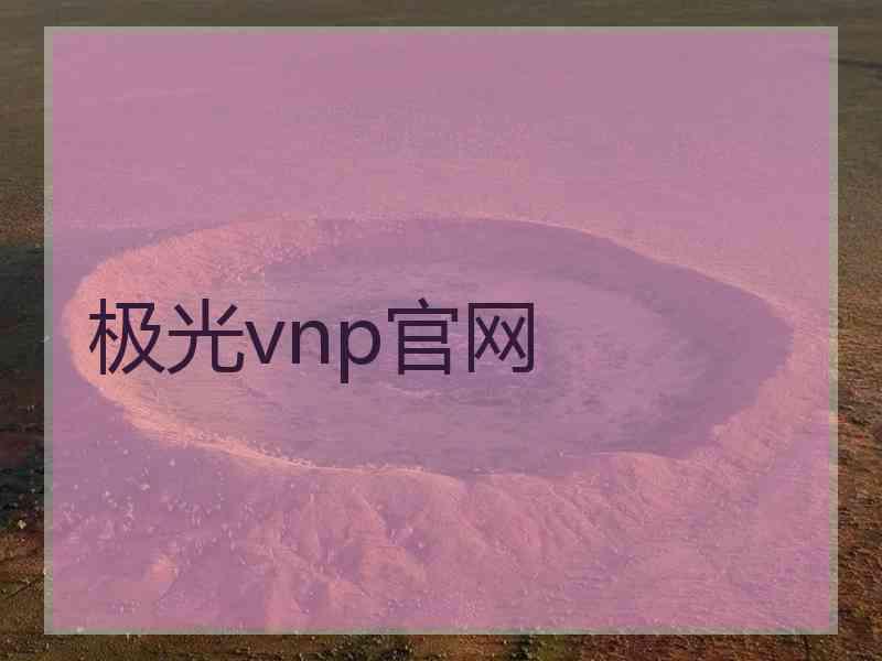 极光vnp官网