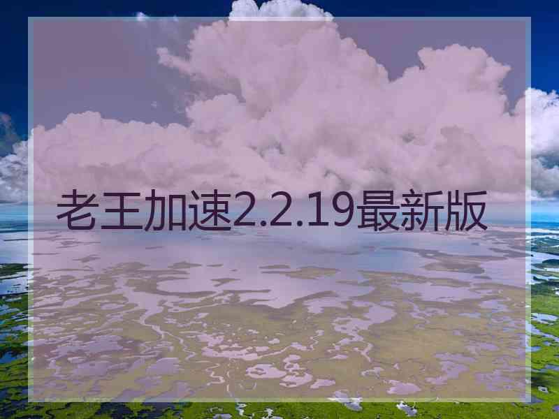 老王加速2.2.19最新版