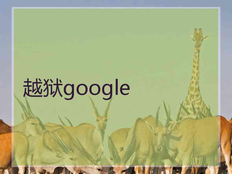 越狱google