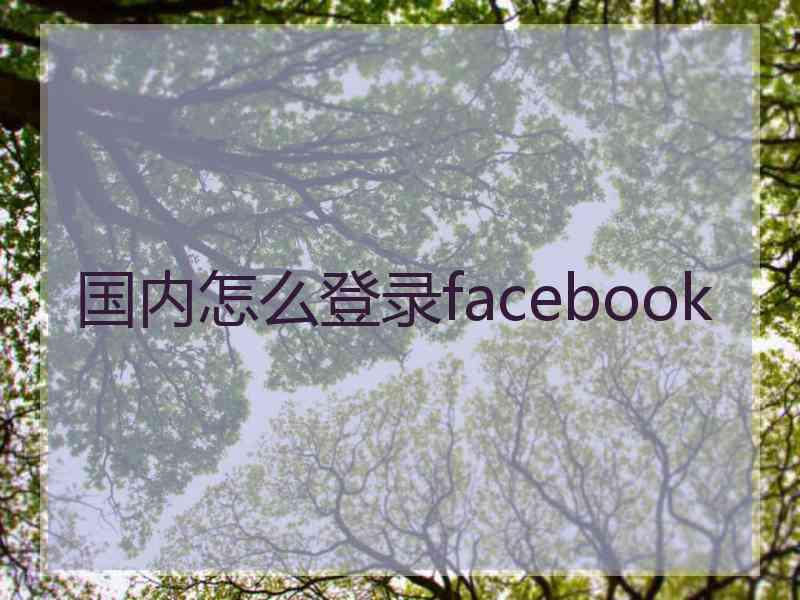 国内怎么登录facebook