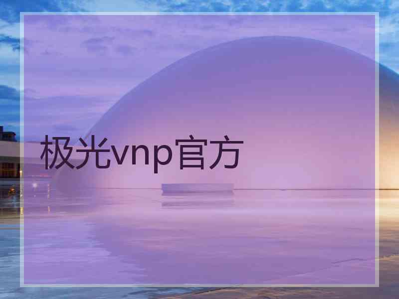 极光vnp官方