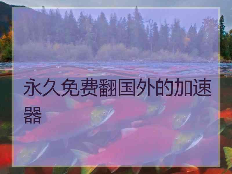 永久免费翻国外的加速器