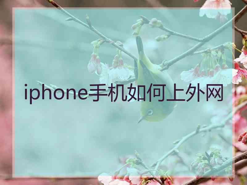 iphone手机如何上外网