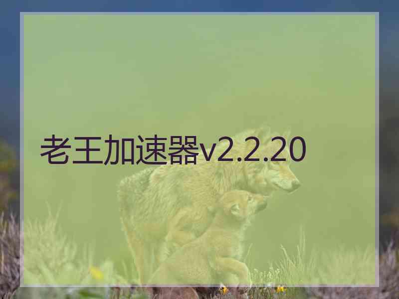 老王加速器v2.2.20