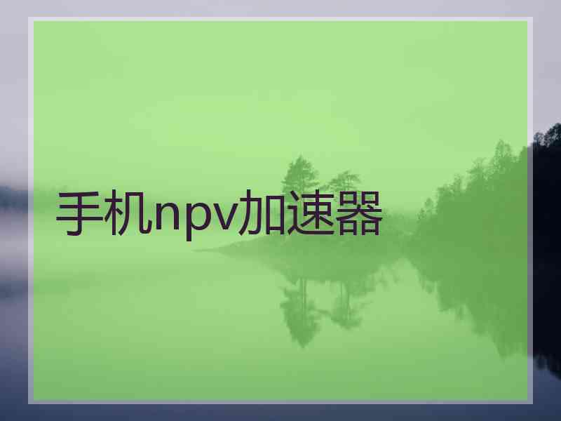 手机npv加速器