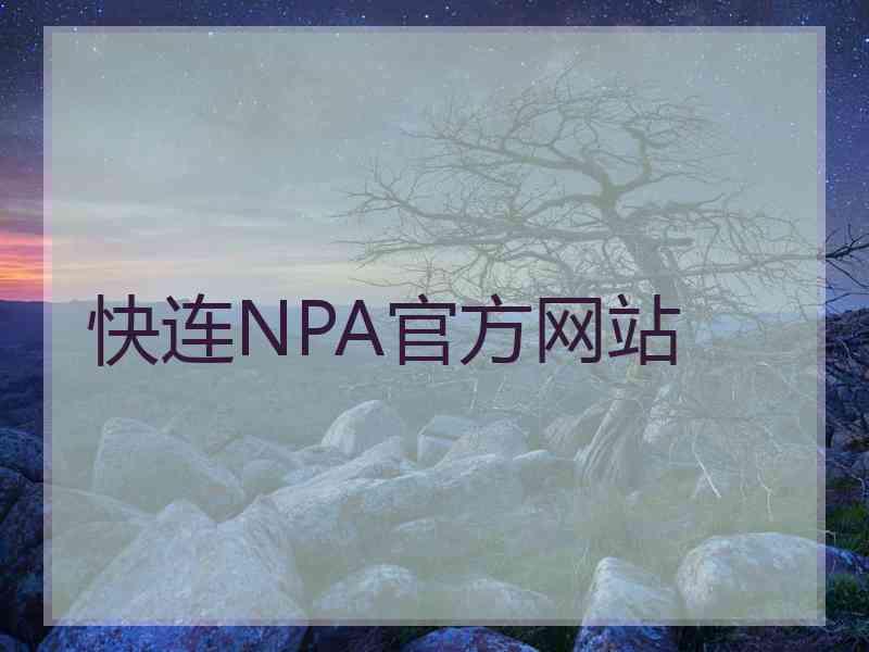 快连NPA官方网站