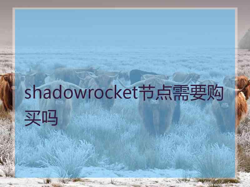 shadowrocket节点需要购买吗