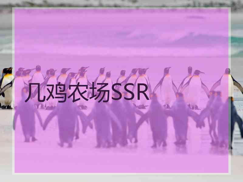 几鸡农场SSR