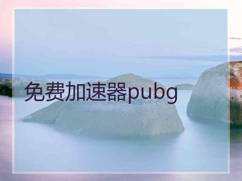 免费加速器pubg