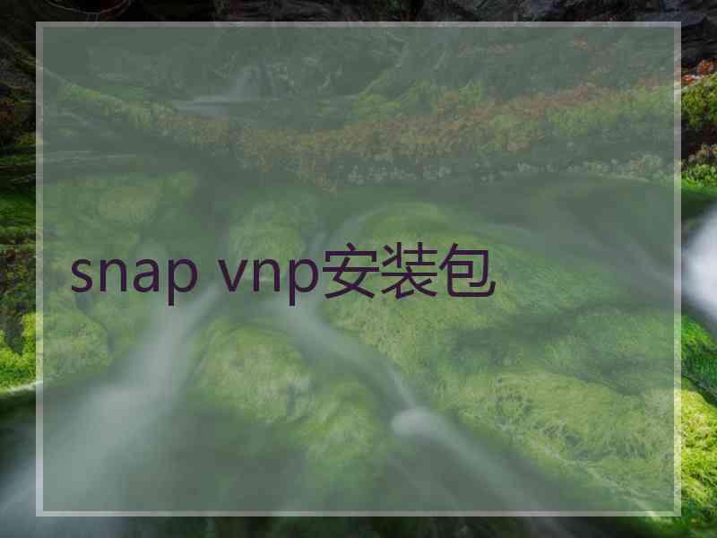 snap vnp安装包