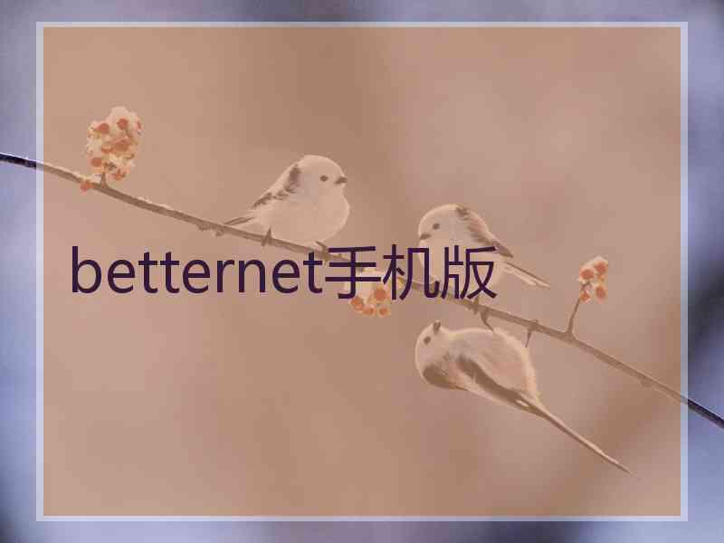 betternet手机版