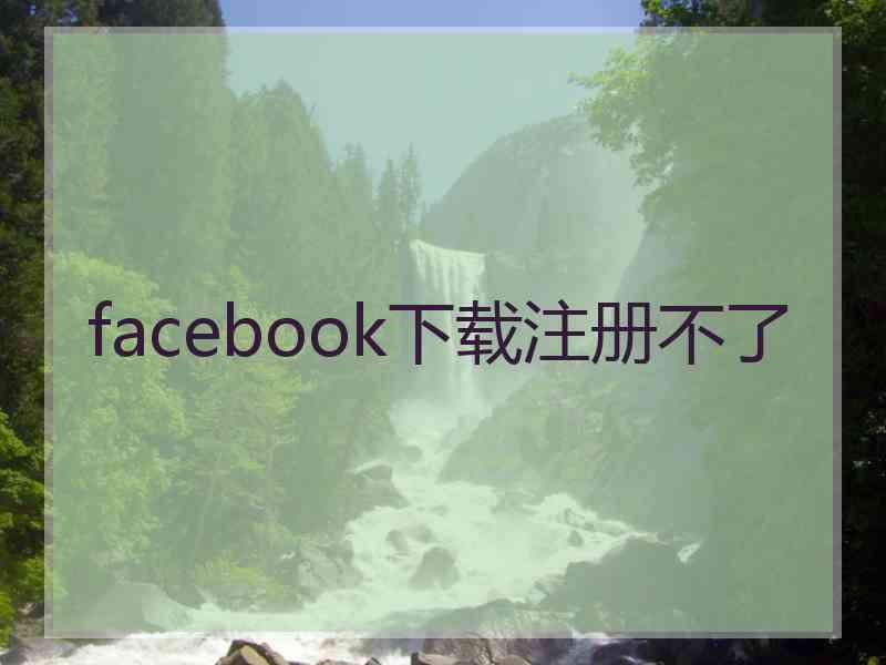 facebook下载注册不了