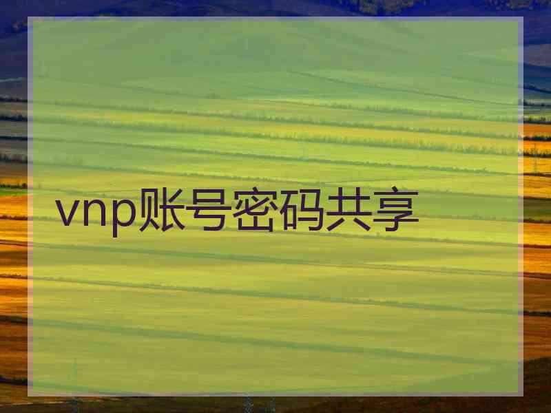 vnp账号密码共享