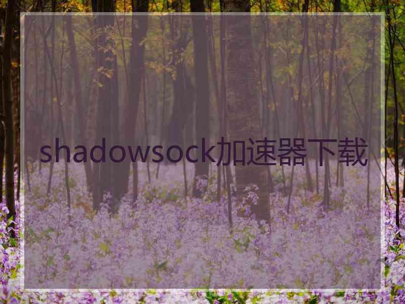 shadowsock加速器下载