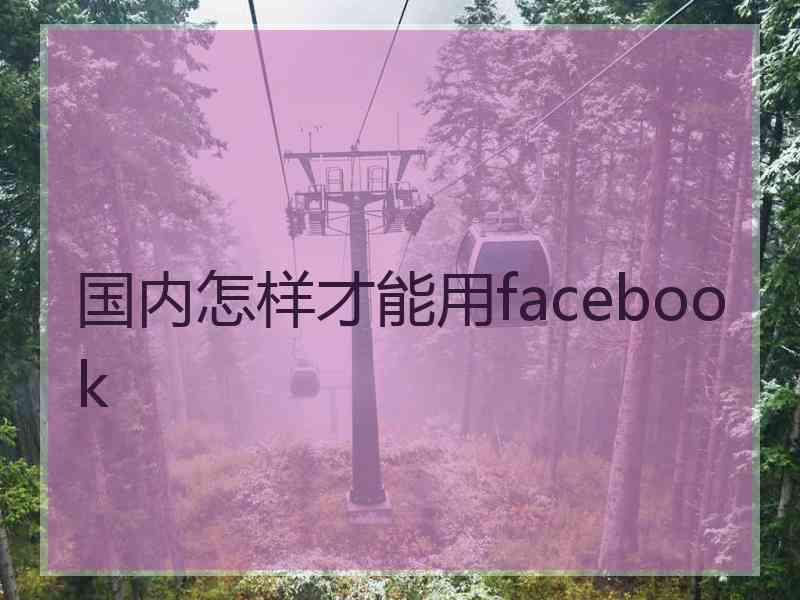 国内怎样才能用facebook