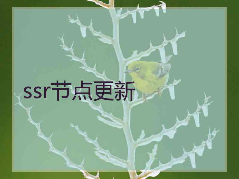 ssr节点更新