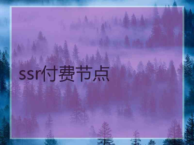 ssr付费节点